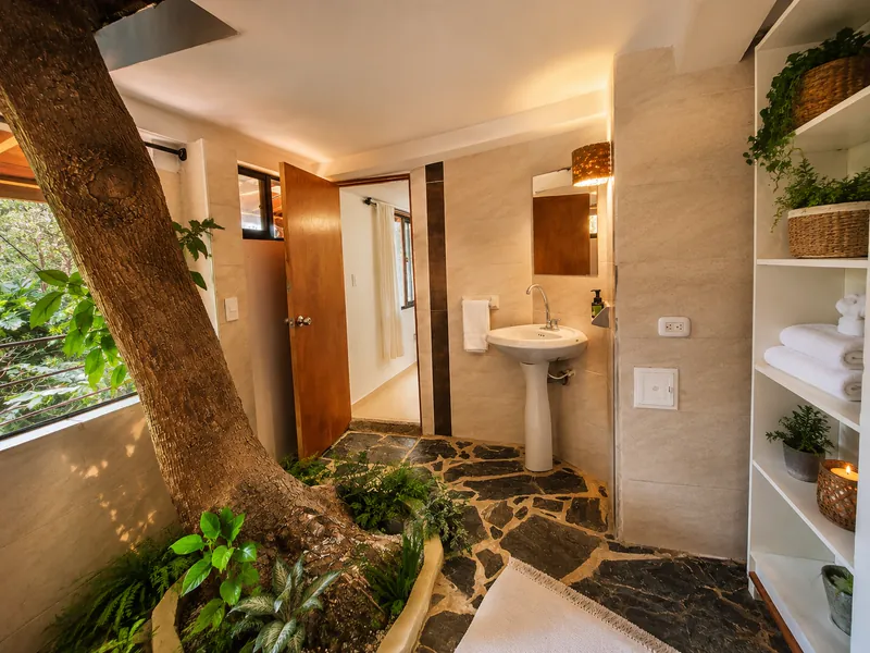 Lavabo del baño junto al tronco del árbol de mango y estantería con toallas